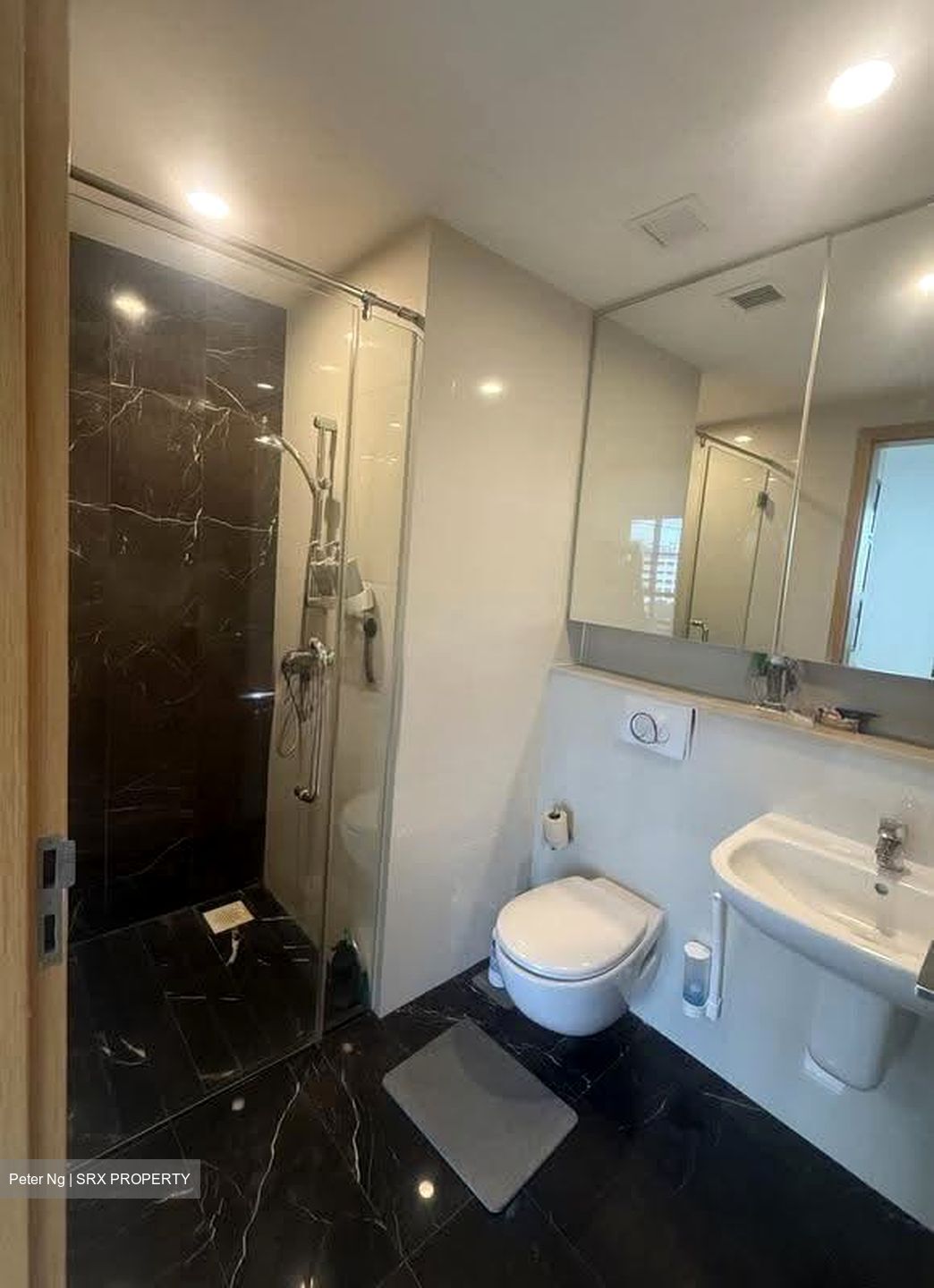 8@Woodleigh (D13), Condominium #619419061